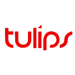 tulips product