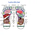 ماساژور پا دنومد مدل KW878