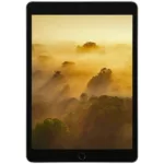 تبلت ۱۰.۲ اینچ اپل مدل iPad (9th Generation) 10.2-Inch Wi-Fi 2021 ظرفیت 256 گیگابایت
