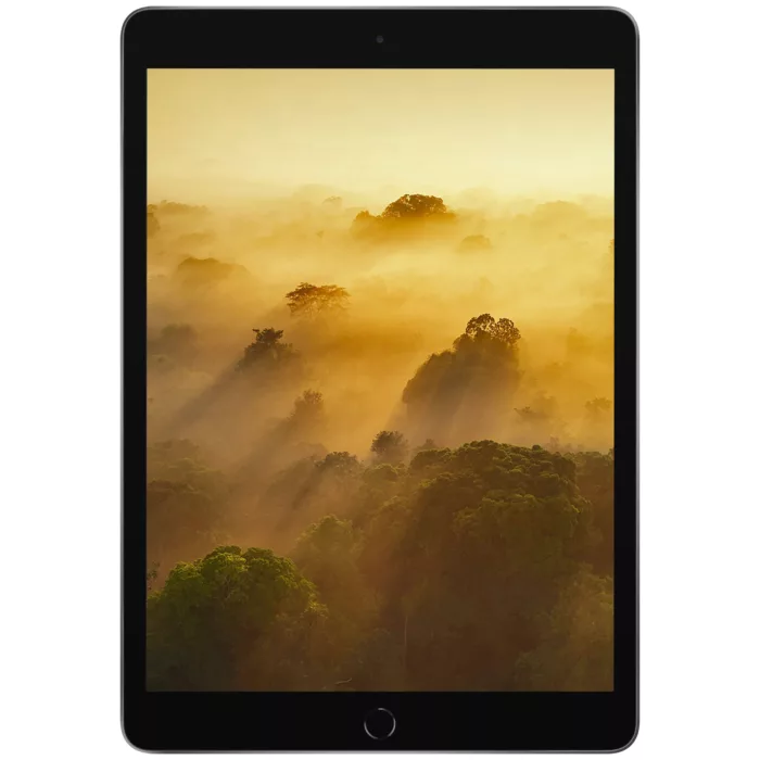 تبلت ۱۰.۲ اینچ اپل مدل iPad (9th Generation) 10.2-Inch Wi-Fi 2021 ظرفیت 256 گیگابایت