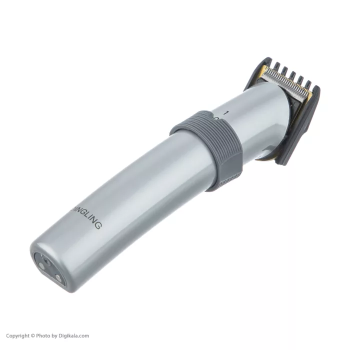 ماشین اصلاح صورت دینگ لینگ مدل RF-608